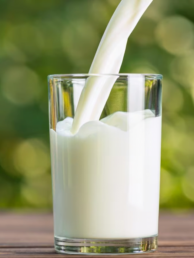 Is milk bad for varicose veins?