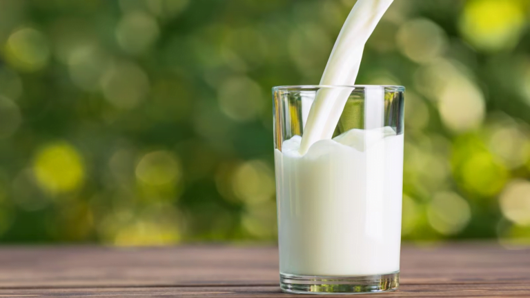 is milk bad for varicose veins